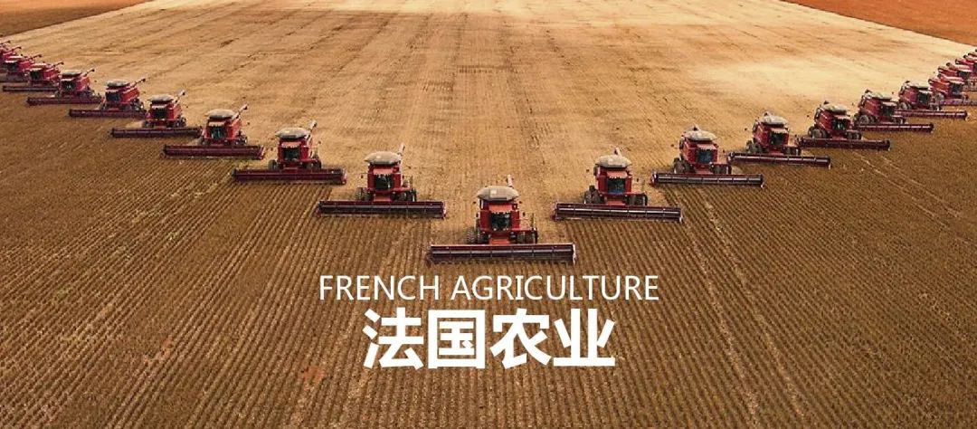 法国农业：欧盟农业大国，，，，，，靠这6大战略制胜市场