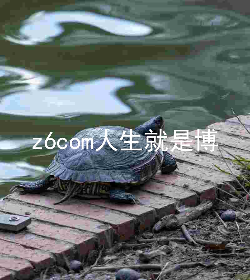 z6com人生就是博