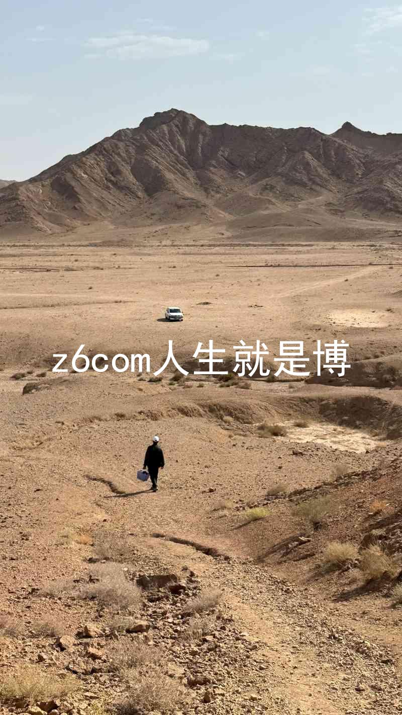 z6com人生就是博